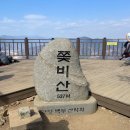 광양 쫓비산~매화마을~구례 산수유마을 (3월13일 금요무박)특별산행 이미지