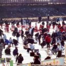 평창송어 이미지