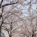 카페율하온 중앙하이츠점