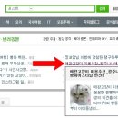 나나네 애견샵 이미지