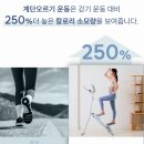 땀샘휘트니스 | 천국의 계단 가정용 가격 가정용 스텝밀 천국의 계단 운동 효과 칼로리 무릎