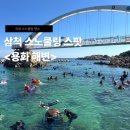 리멤버8펜션 | 삼척) 요즘 제일 핫한 삼척 <용화해수욕장> 주차,파라솔 요금안내까지