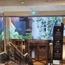 서초여성가족플라자 앞 횡단보도 | 더 플라자 호텔 서울 피트니스, 사우나 리뷰 : 별관은 지하통로로 이동