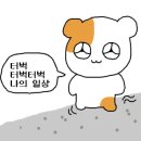 디헬PC방 이미지