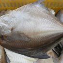 2019년 설 명절 제수용, 선물용 반건조 생선판매-목포먹갈치생선카페 이미지
