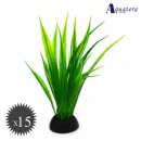 아쿠아테라 수족관 이미지