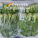 산호동502 | 맘앤맘마창원점-7월13일(화)이유식재료&amp;이유식