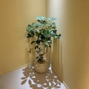 미소케어 | 차병원 사거리 피부관리 추천｜프라이빗하게 받는 탄력 케어, 미소뷰티 리페어 관리 후기