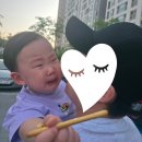 시우시우 이미지
