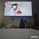 홍지농장 이미지