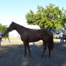 케이목장 이미지