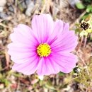 태양과바다1호 태양광발전소 이미지