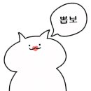 더카페서현엘지에클라트점 이미지