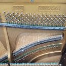 라온음악교습소 이미지