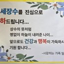 염포시장(신전시장) 이미지