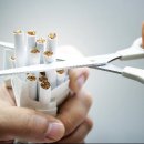 동해-단속-45 이미지