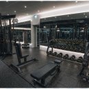 피트니스 엘 이미지