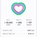 하랑바이오 | 고4 🥲