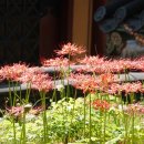 성북동-853 이미지