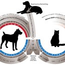 24시 청주이음동물의료센터 이미지