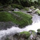 기성계곡 이미지