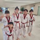 용인대 세미 태권도장 이미지