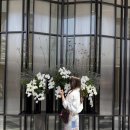 (주)조선호텔앤리조트 그랜드조선 부산팔레드신 | 내돈내산 해운대 호텔 추천 l 그랜드 조선 부산 키즈룸 평일 숙박후기 숙박요금