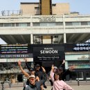 석촌상가 앞 횡단보도 | 서울 러닝 코스 추천! 잠수교 분수런부터 귀여움 터지는 댕댕이런까지 (feat. 발리 몽팸)