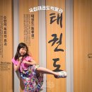 국립태권도박물관 | 전북 아이와 실내 가볼만한곳 무주 국립태권도박물관 공연