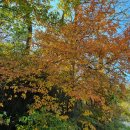 둔기마을 이미지