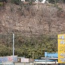 포항시북구36 | 포항 가볼만한 곳/포항 맛집/포항 여행