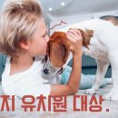 소화유치원 이미지