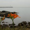 갈맷길(1코스) 이미지