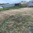 먼나머루휴양펜션 이미지