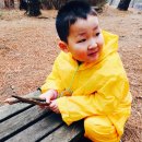 봉곡유치원 이미지