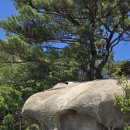 도봉-도봉-2539 이미지