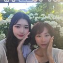 2025년6월29일 일요일 군산에서 부여를 지나 공주 유구 수국축제까지 이미지