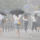 소나기 이미지