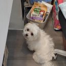 공원옆 동물병원 이미지