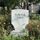 소대마보건진료소 네이버블로그
