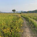 시리베이커리 이미지