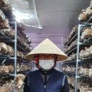 안터마을 영농조합법인 이미지