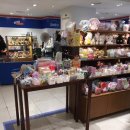 다올스토어 | 대전 롯데백화점 1층 팝업스토어 | 연남동 다올상점 소품샵 방문 후기