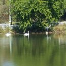 수행정사사무소 이미지