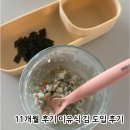 김**-11 | 11개월 아기 후기 이유식 | 김 도입 언제부터 가능할까