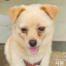 율하우리동물약국 이미지