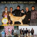 부마클럽 이미지