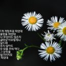 밥풀 전남대 이미지