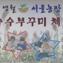 요선농장 이미지