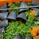 무전동 주민센터 이미지